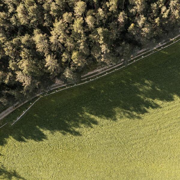 Wanderweg