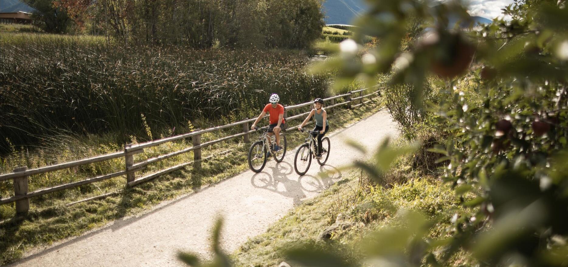 Due persone stanno andando in bicicletta