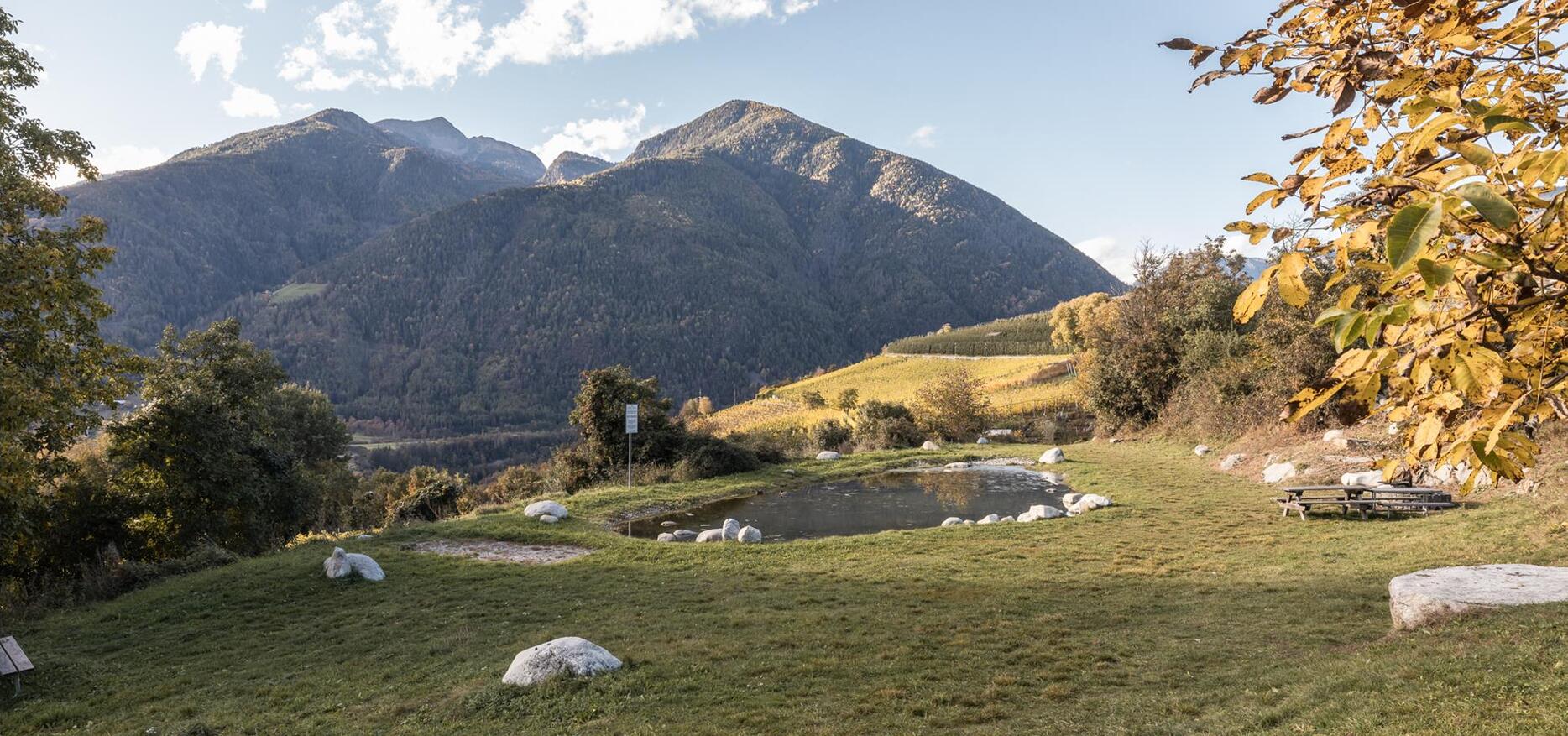 Natz in autumn
