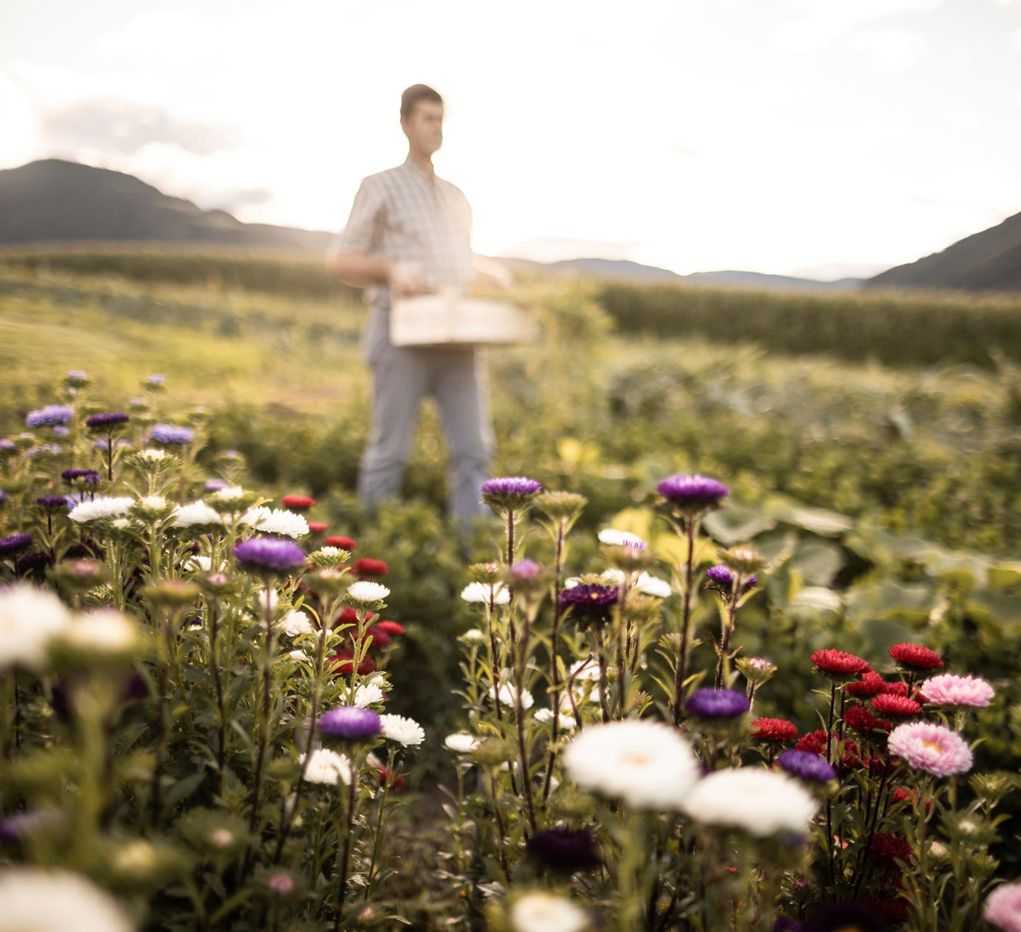 Un uomo circondato da fiori di prato