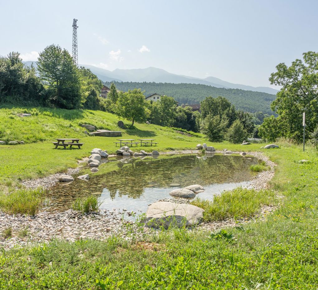 Area barbecue Gründl