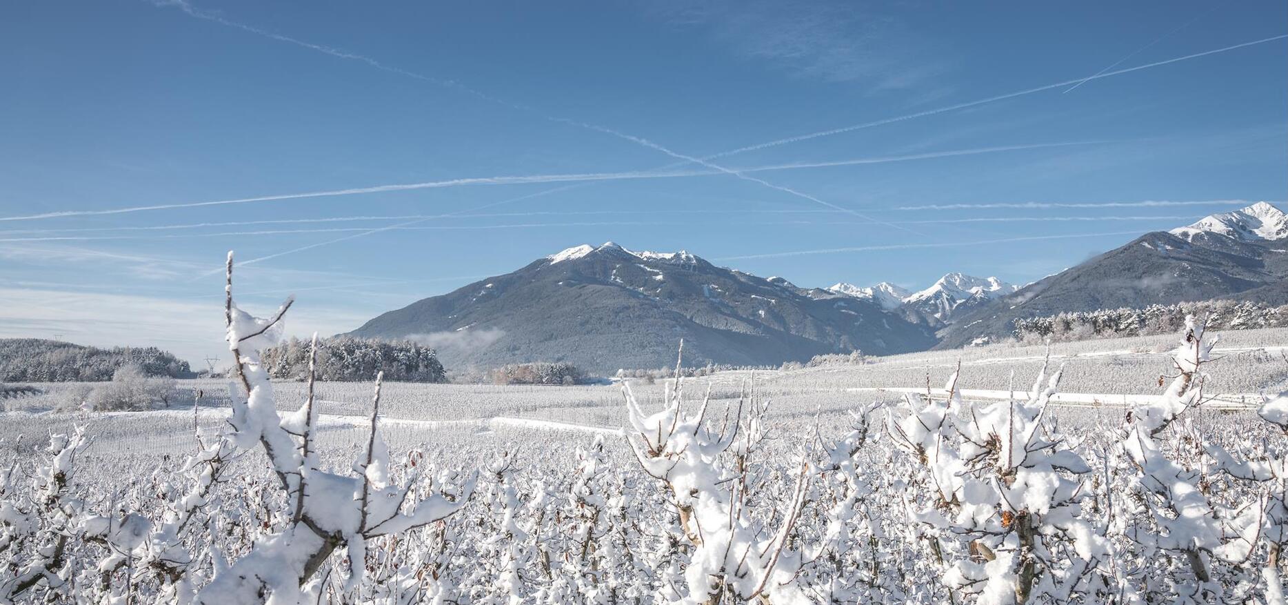 Paesaggio innevato