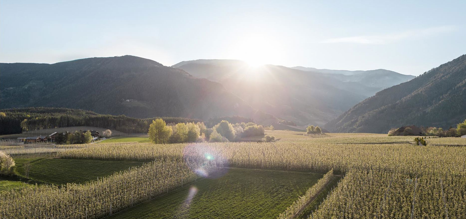 natz-schabs-24-04-19-upscale-5