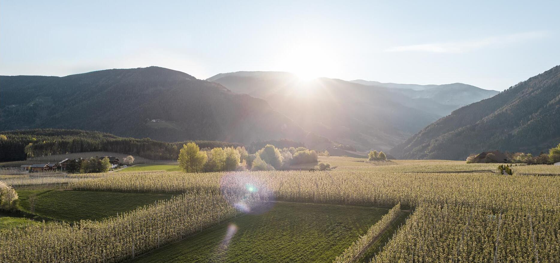 Frühling