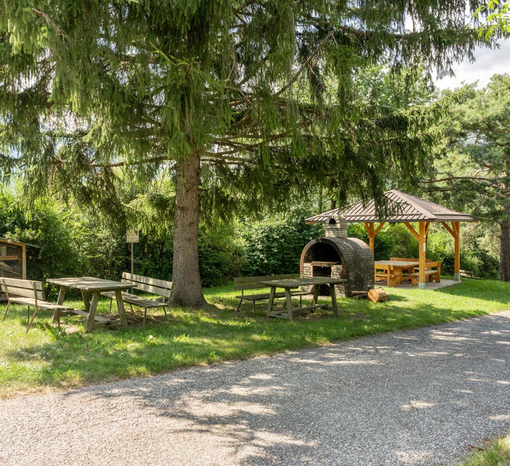 Area barbecue di Sciaves