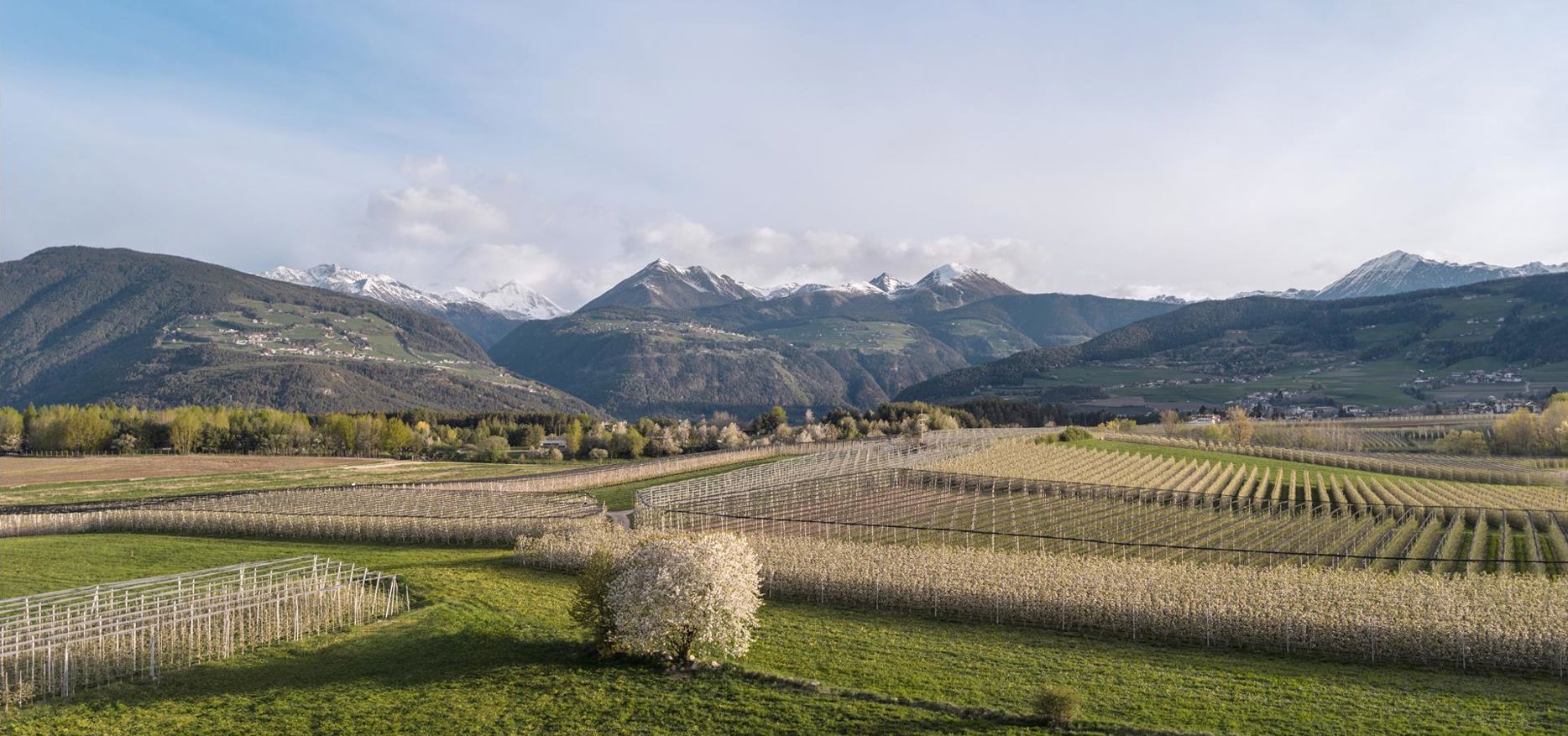 natz-schabs-24-04-19-upscale-3