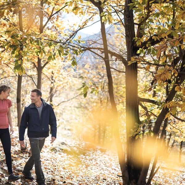 Ein Mann und eine Frau spazieren durch den Wald