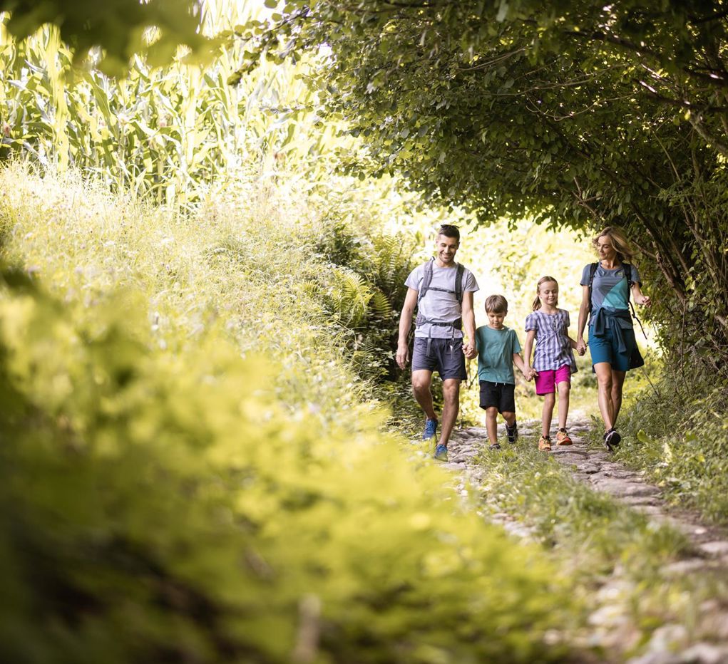 Eine Familie mit zwei Kindern wandert