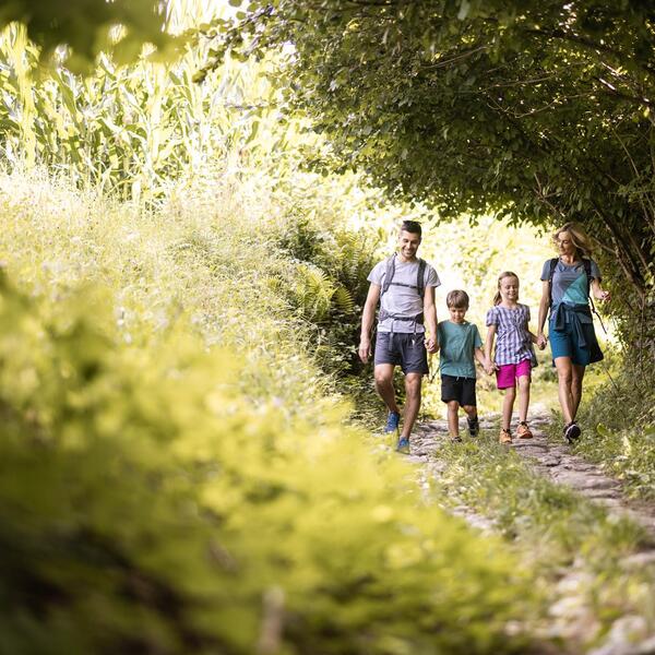 A family with two children is hiking