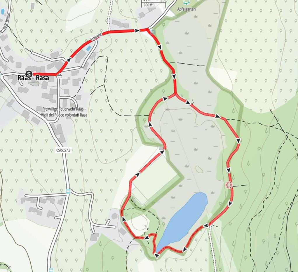 Naturlehrpfad Raier Moos