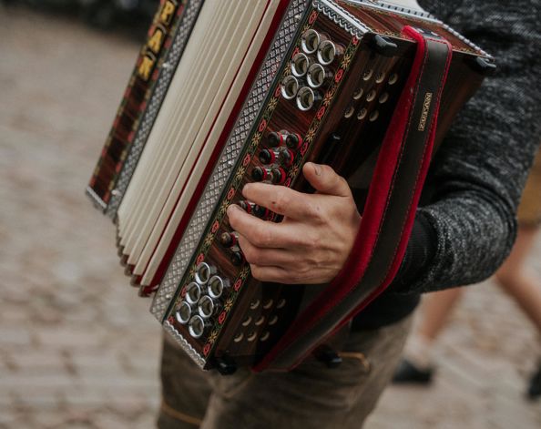 Una persona suona la fisarmonica