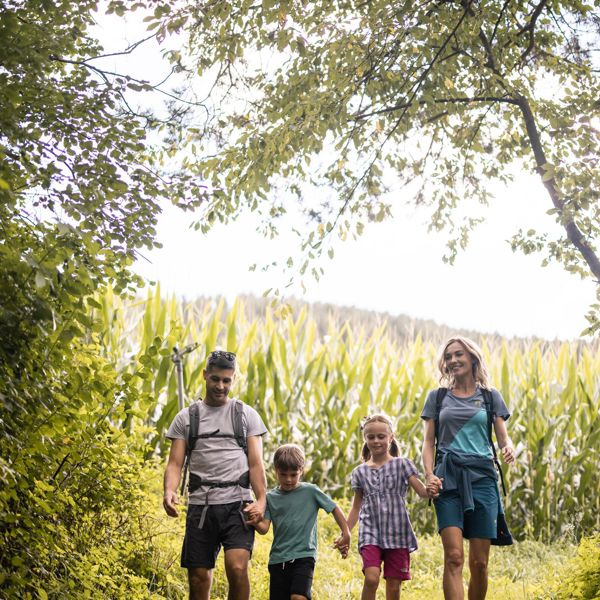 Eine Familie mit zwei Kindern wandert