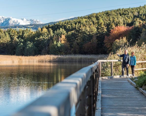 Naturlehrpfad Raier-Moos