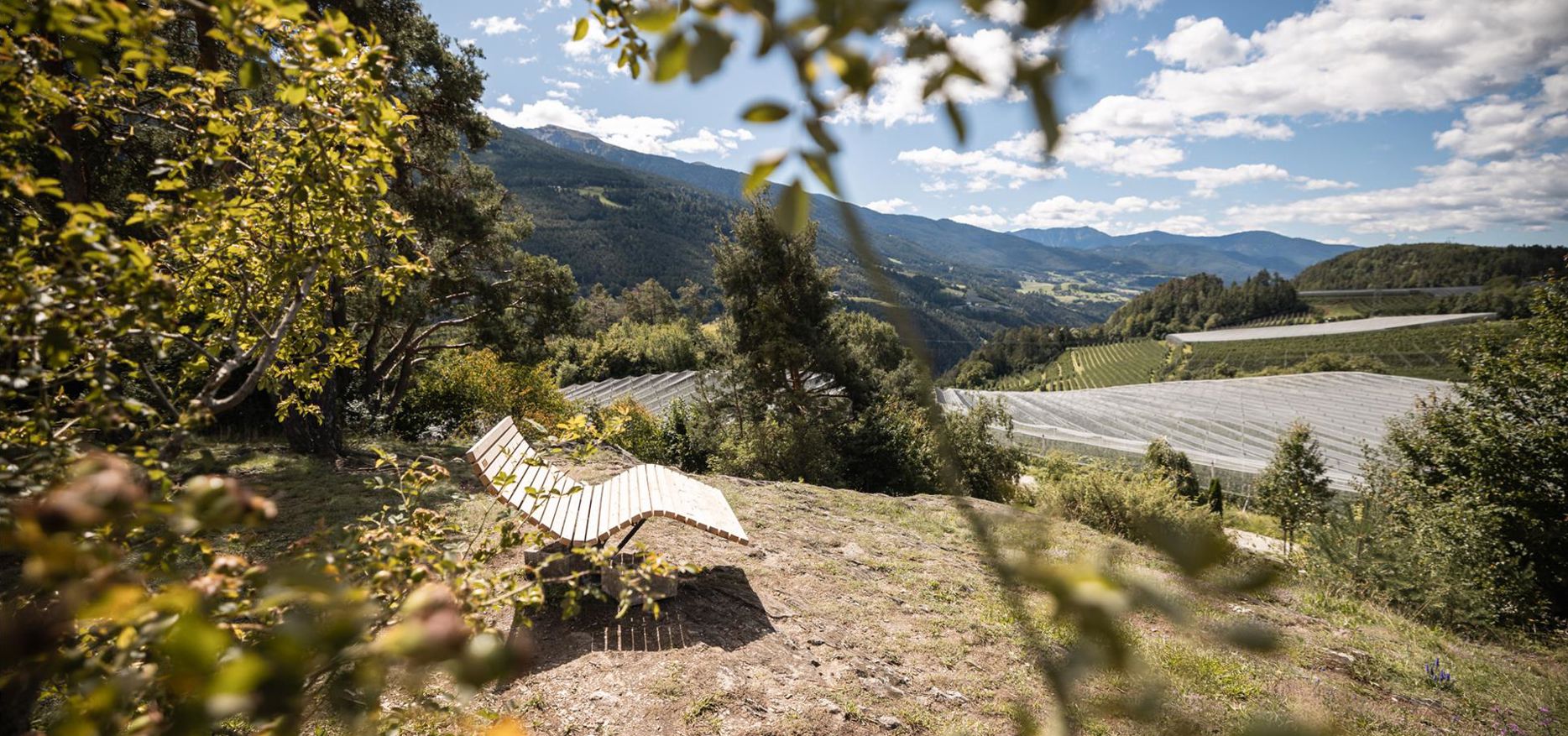 Eine Holzliege, umgeben von Apfelbäumen
