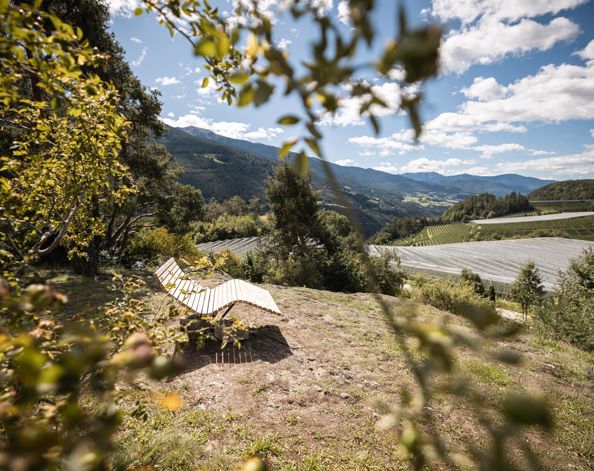 A wooden lounger surrounded by apple trees