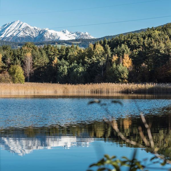 Naturlehrpfad Raier-Moos