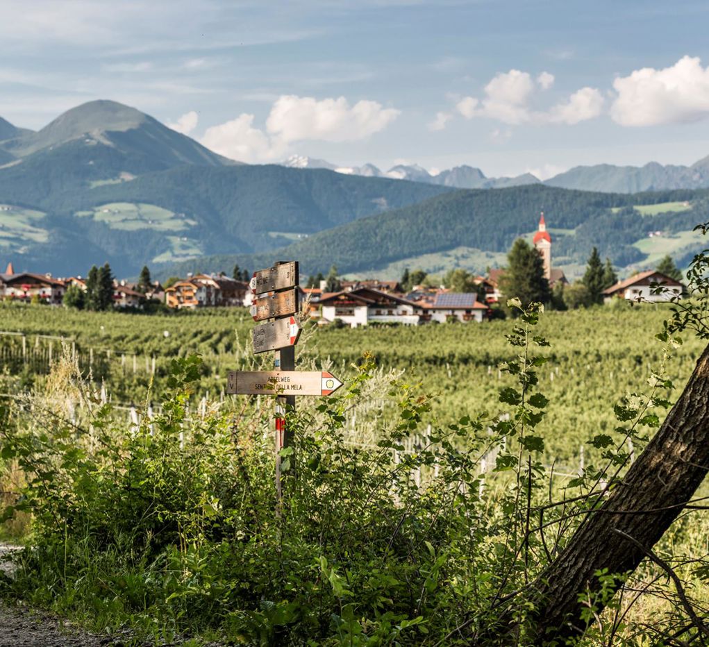 natz-gegen-gitschberg1