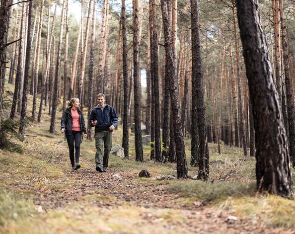 Un uomo e una donna passeggiano nel bosco