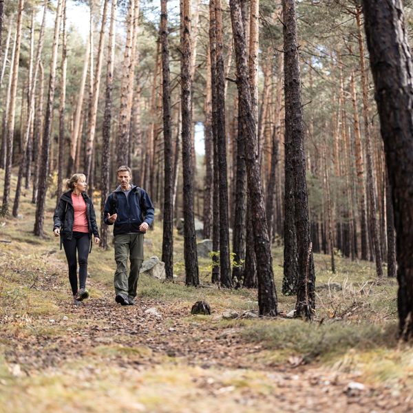 A man and a woman walk through the forest